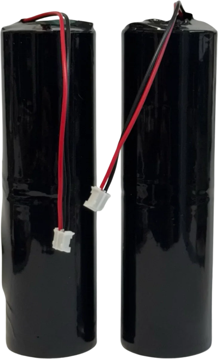 2x Piles 3V Alcalines Format D pour Alarme Piscine KidsGuard 2 – 6V