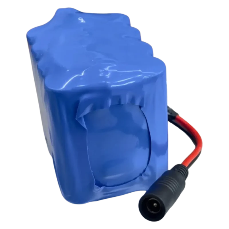 Batterie 3S4P Li-ion 12V 12.6Ah avec chargeur