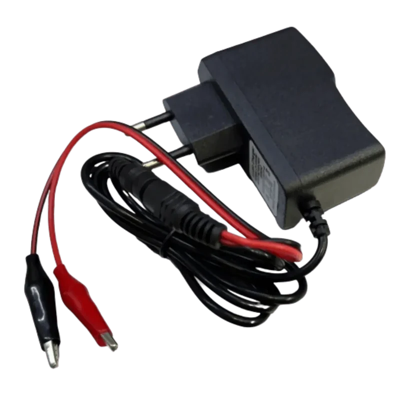 Chargeur batterie plomb 6V 1A sortie 7.2V jack + pinces