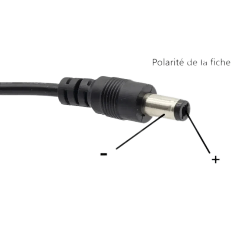Adaptateur mural AC/DC 220V 6V 500mA