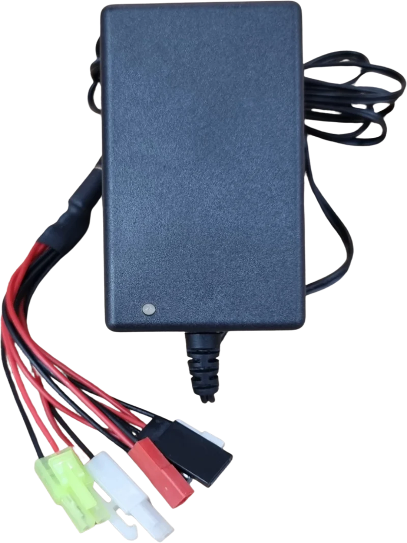Chargeur NiMH NiCd 1.2V à 18V DSS-M318 universel
