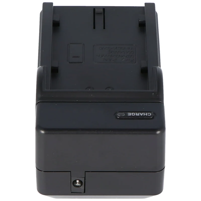 AccuCell Ladegerät passend für Panasonic Akku VW-VBD29, VBD58, VBD78 inkl. Netzstecker und KfZ Stecker