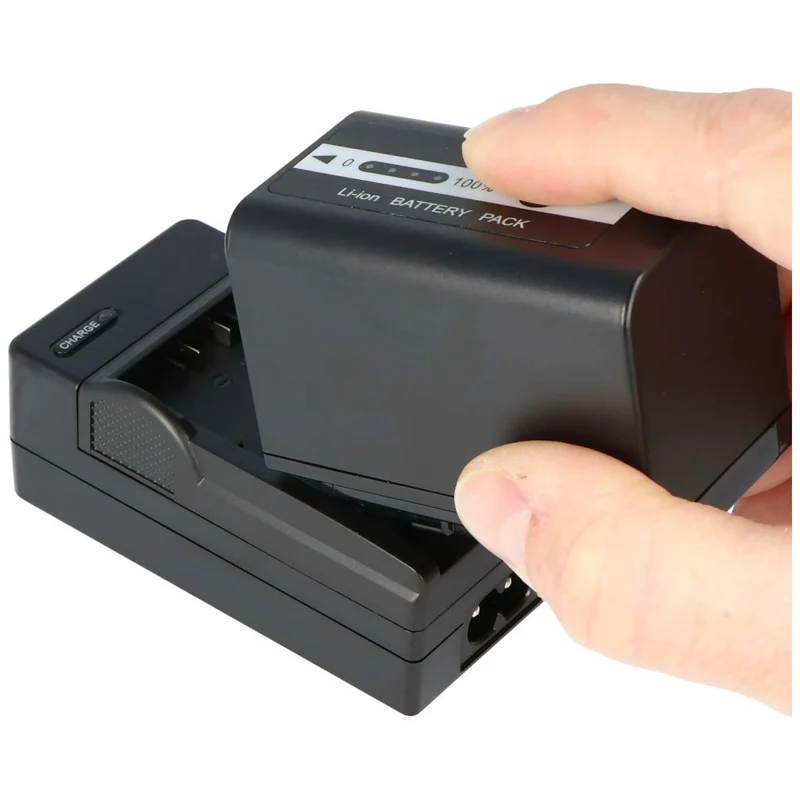 AccuCell Ladegerät passend für Panasonic Akku VW-VBD29, VBD58, VBD78 inkl. Netzstecker und KfZ Stecker