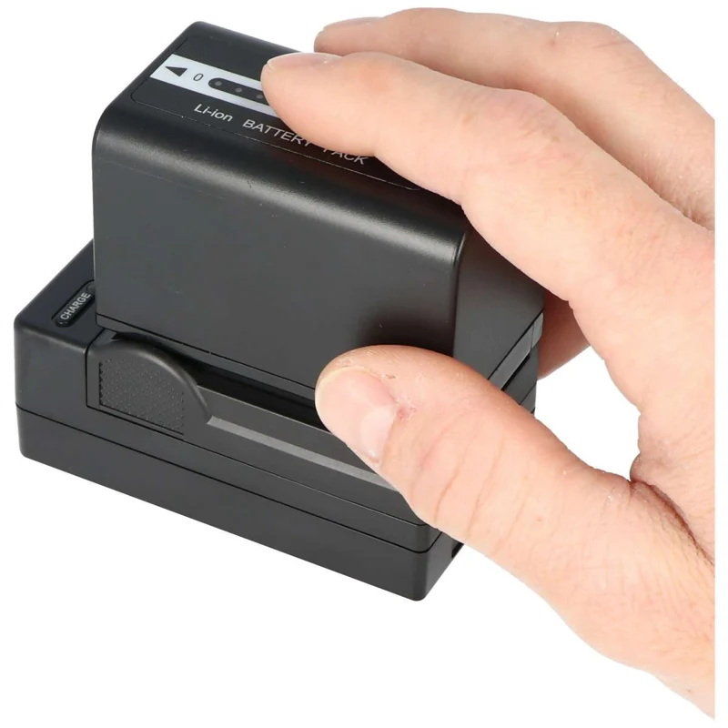 AccuCell Ladegerät passend für Panasonic Akku VW-VBD29, VBD58, VBD78 inkl. Netzstecker und KfZ Stecker