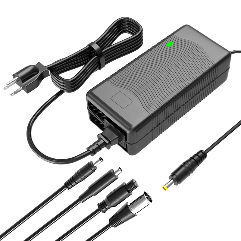 54.6V 2A Electric Bike Charger for 48V Lithium Battery 5 Plugs