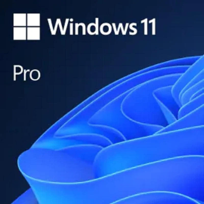 Windows 11 Pro Full Retail Version Esd (Email Delivery)
