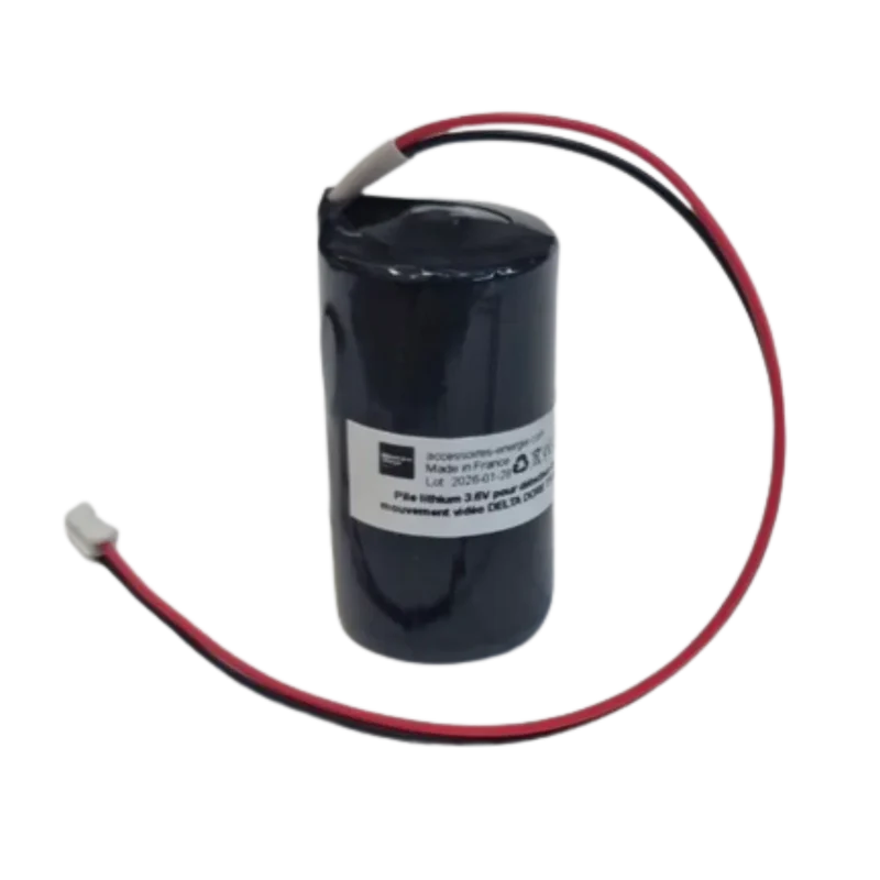 Pile lithium 6416224 3.6 V 5800 mAh pour Delta Dore DMBV TYXAL+