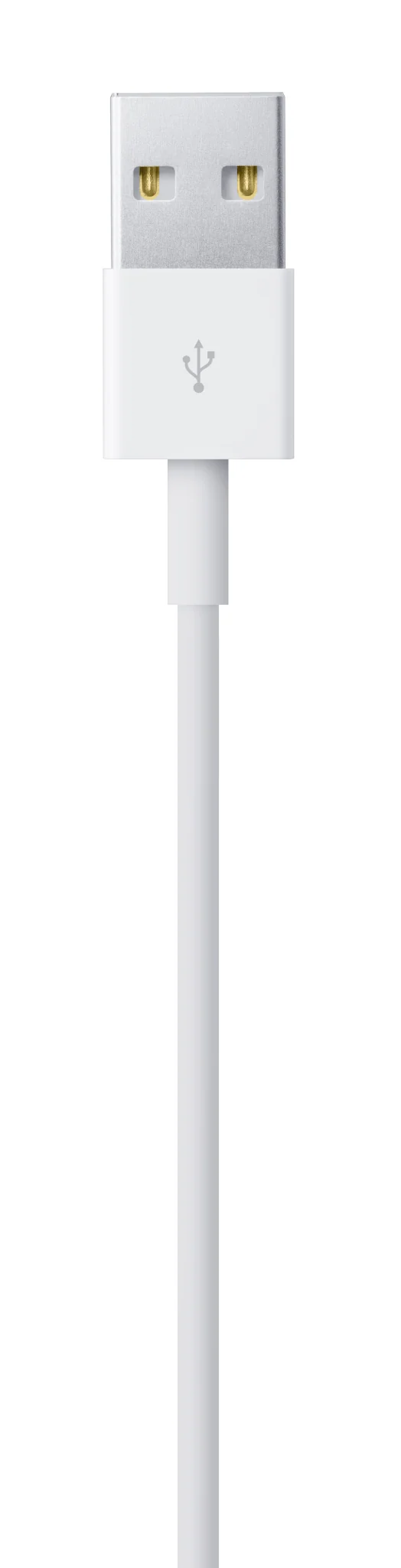 Apple Lightning auf USB Kabel (1 m)