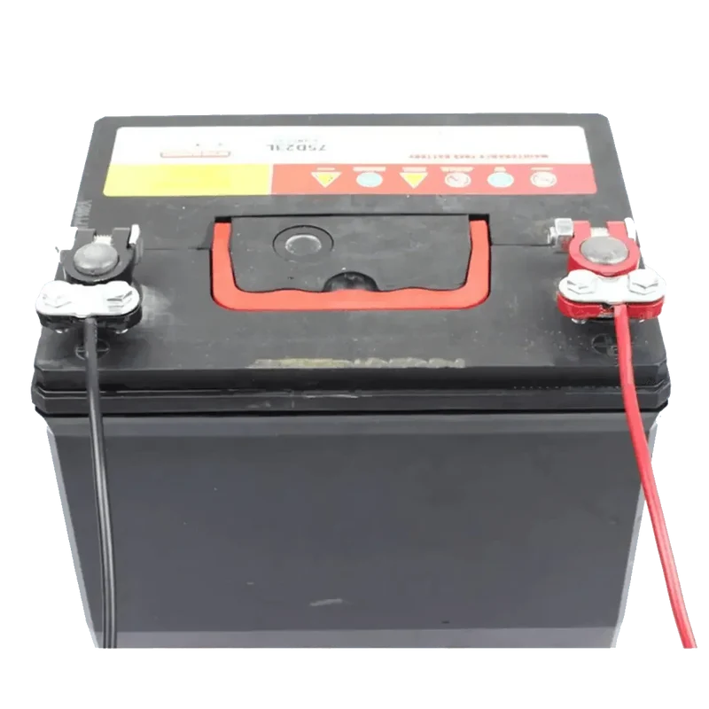Paire de Bornes pour batterie avec pinces à vis