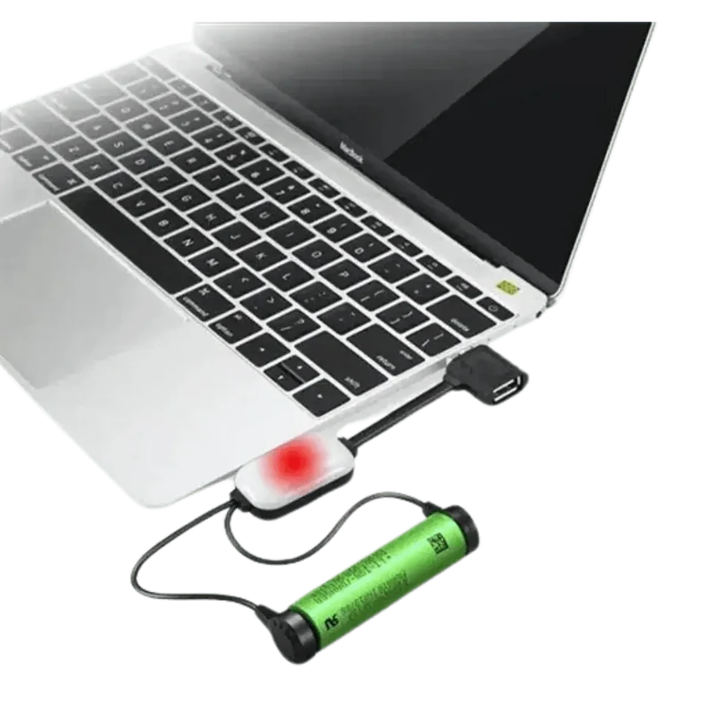 Chargeur de batterie Li-Ion portable universel