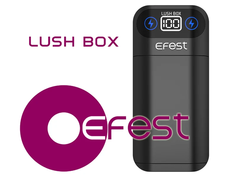 Efest 18650 3,6V -3,7V Lush Box Powerbank Ladegerät für Lithium Ionen Akkus