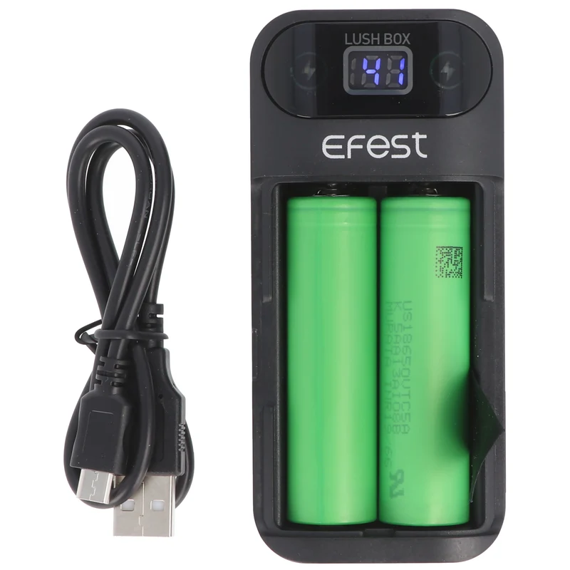 Efest 3in1 Powerbank & Ladegerät für 18650 Li-Ion Akkus – USB-Ausgang 2,1A
