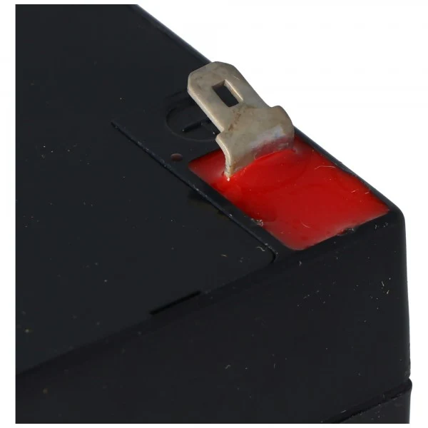 Fiamm FG10451 Blei Akku 6V 4,5Ah 3FM4.5 für Leoch DJW6-4.0