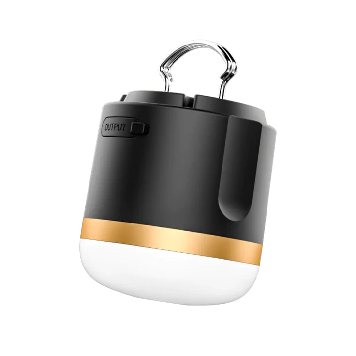EcoFlow DELTA Pro + 220W Solar Panel + a free Camping Light