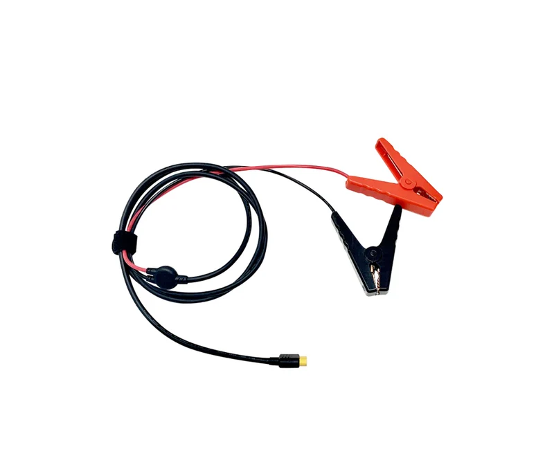 EcoFlow Smart Auto Batterieladegerät 12 Volt / 24 Volt