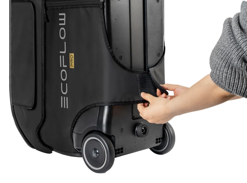 EcoFlow DELTA Pro Tasche