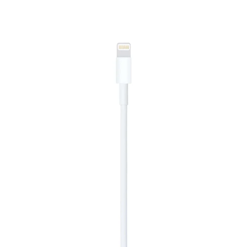 Lightning to USB Cable (1 m)