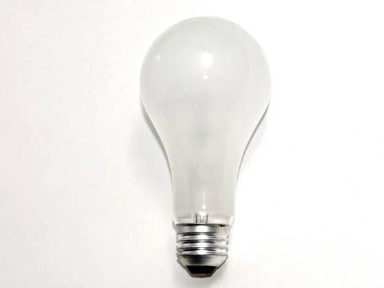 Bulb Rough Service 100W