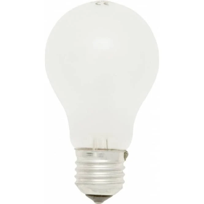 Bulb Rough Service 50W